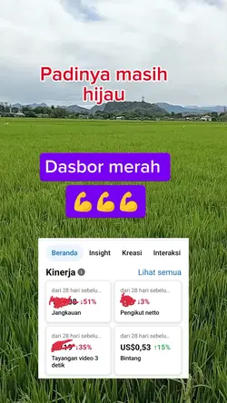 Dasbor merah