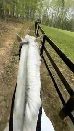 Random bareback 