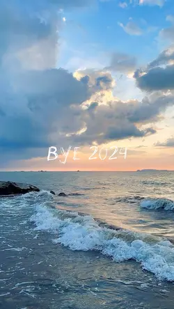 Bye 2024👋🏻🦋✨