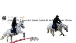 CavalierRoro/Twitter