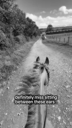 rip dulcie 🕊️