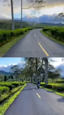 2 video 1 frame