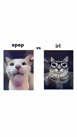 epep vs irl 