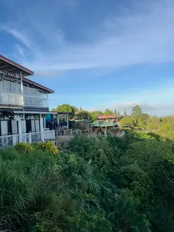 video dump