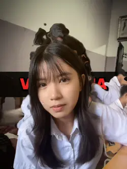 ចិត្តព្រៃផ្សៃល្បីក្នុងTikTok 