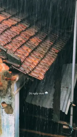 Dù ngày mưa