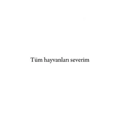 Ama en çok Tilkileri