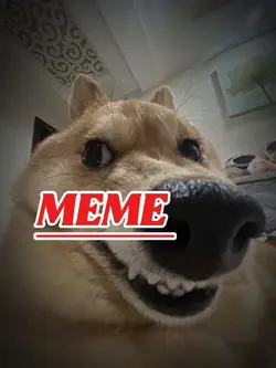 MeMe
