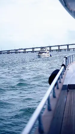 305 JUMP