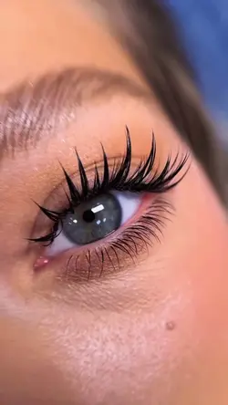 LASHES TRANSITIO