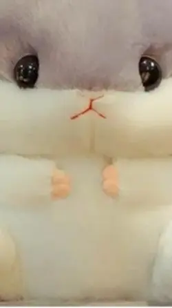 Plushtoys 
