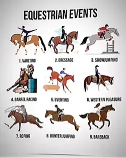 Equestrian events 