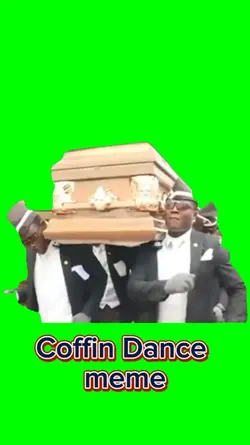 Coffin dance meme