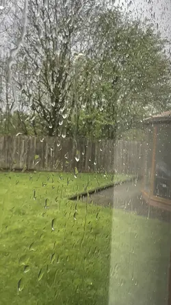 Cosy rain afternoon 