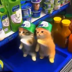 kau pikir hidup ini