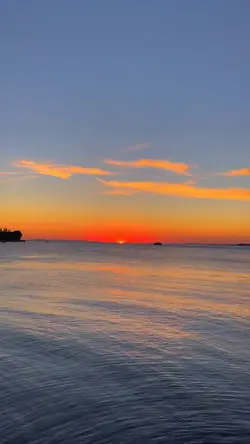Vibes sunset