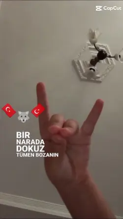 Bozkurt işareti 