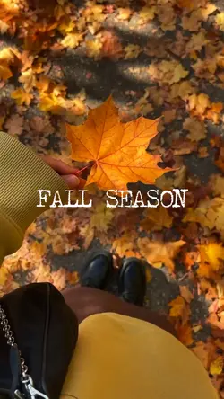 Fall Season