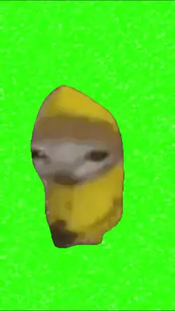 spinning banana cat
