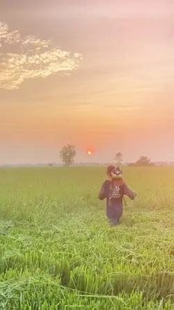 คนโสดอยู่ไหนน