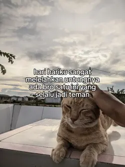 bro oyen