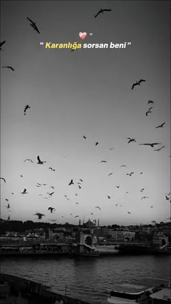 roman olur 