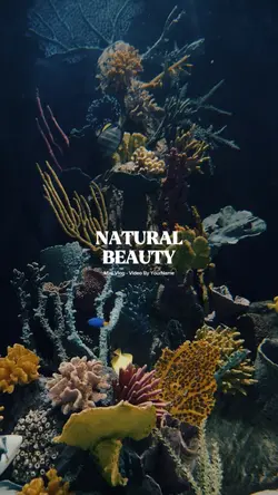 Natural Beauty