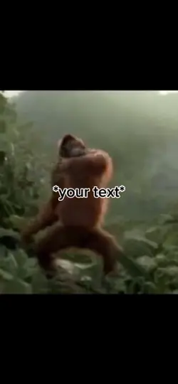 Monkey Meme🐵🐵🐵😂😂😂