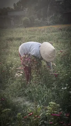 Phóng sự điều tra