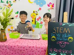 Steam mầm non