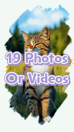 19 Photo Slides