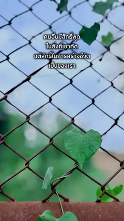 คนอื่นมีสิทธิ์พูดในสิ่งที่เขาคิด