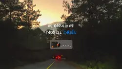 Yo fallaría