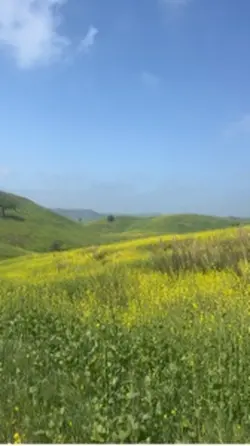 Hiking