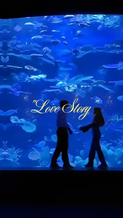 LOVE STORY