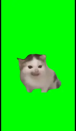 talking cat