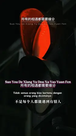 所有的相遇都需要缘分