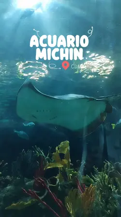 OCEAN VIBES