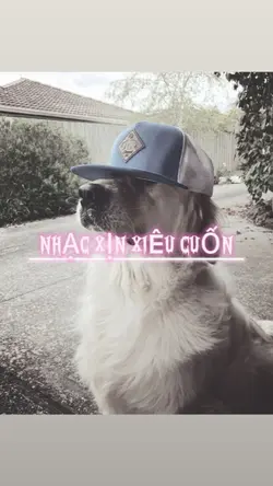 NHAC CUON REMIX