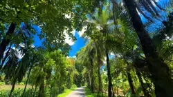 Natural view. 