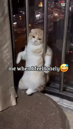 lonely meme