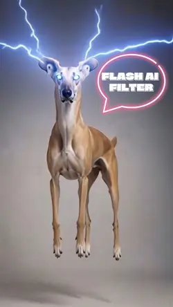FLASH AI FILTER