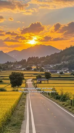 Không ngắm được bình
