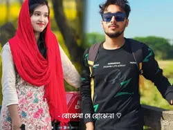 বুঝে না সে বুঝে না 