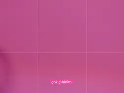 mükkemelsin.
