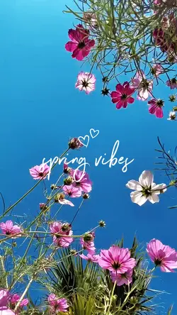 spring vibes