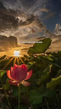 mantram gayatri