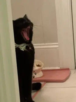 i sit for HOURS