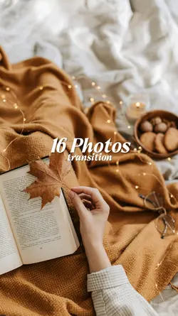 16 Photos Transition