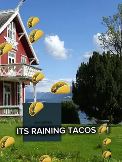 It’s raining tacos!!